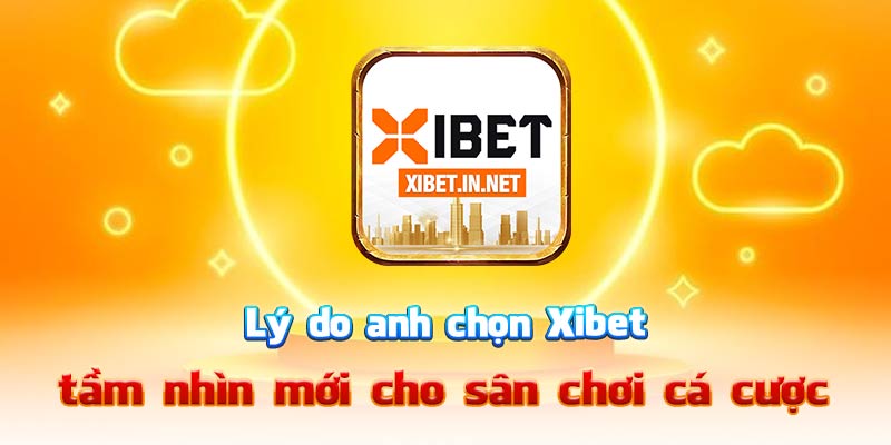 Lý do anh chọn Xibet – tầm nhìn mới cho sân chơi cá cược